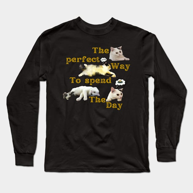 the perfect way to spend the day Long Sleeve T-Shirt by always.lazy